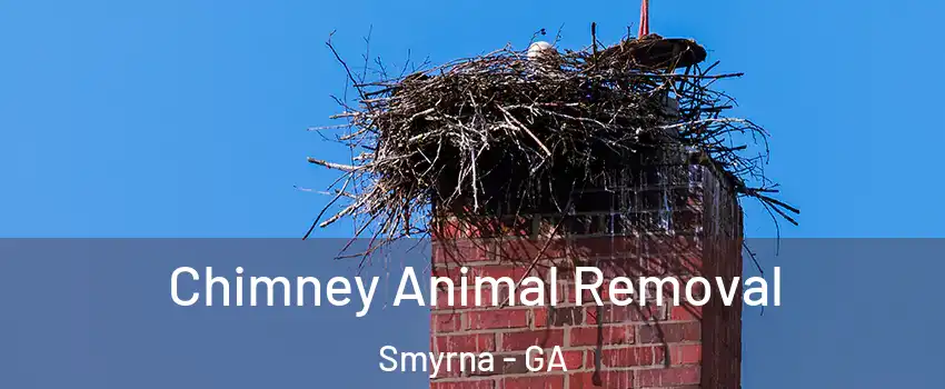 Chimney Animal Removal Smyrna - GA