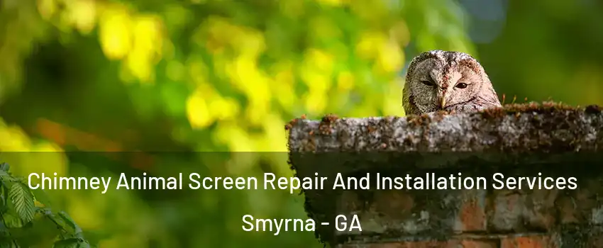  Chimney Animal Screen Repair And Installation Services Smyrna - GA