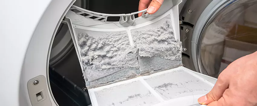 Best Dryer Lint Removal Company in Smyrna, Georgia