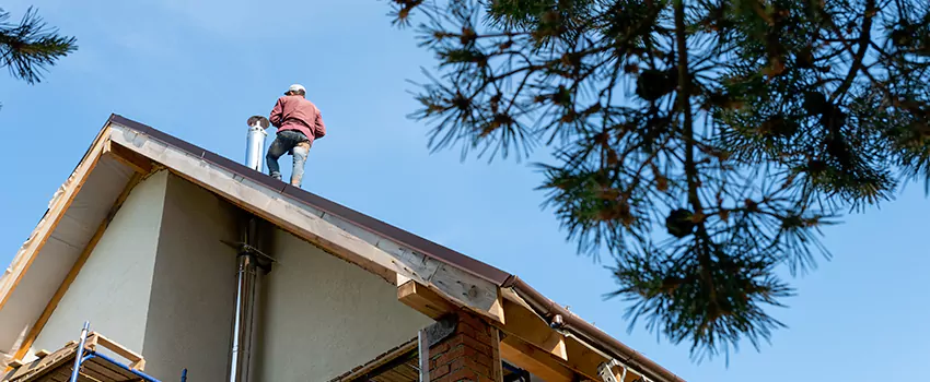 Birds Removal Contractors from Chimney in Smyrna, GA