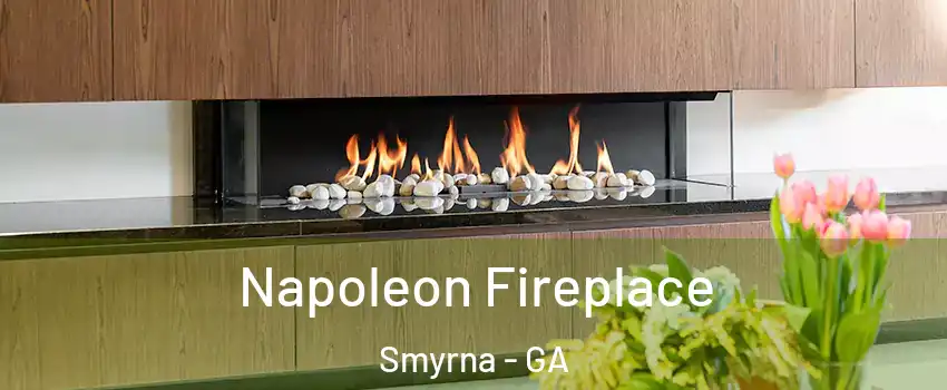  Napoleon Fireplace Smyrna - GA